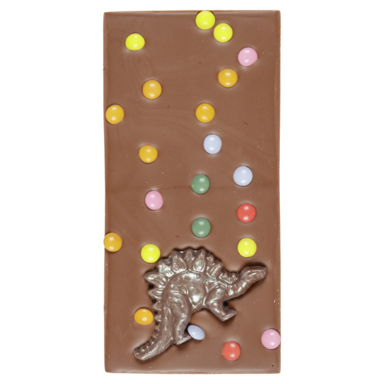 handmade dinosaur chocolate bar